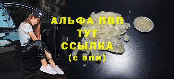 СК Дмитровск