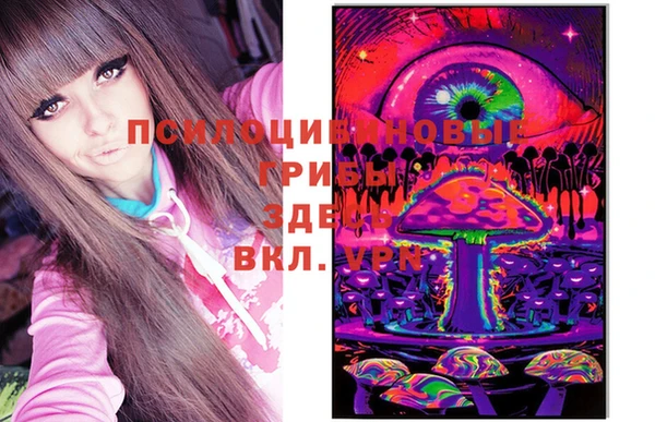 круглые Дмитров
