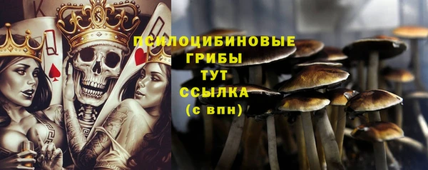 мдма Дмитриев