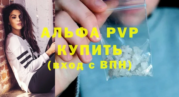 СК Дмитровск
