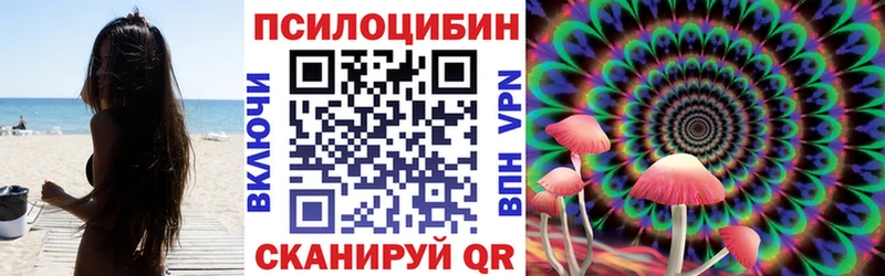 маркетплейс состав МЕГА ТОР Зея Галлюциногенные грибы Cubensis